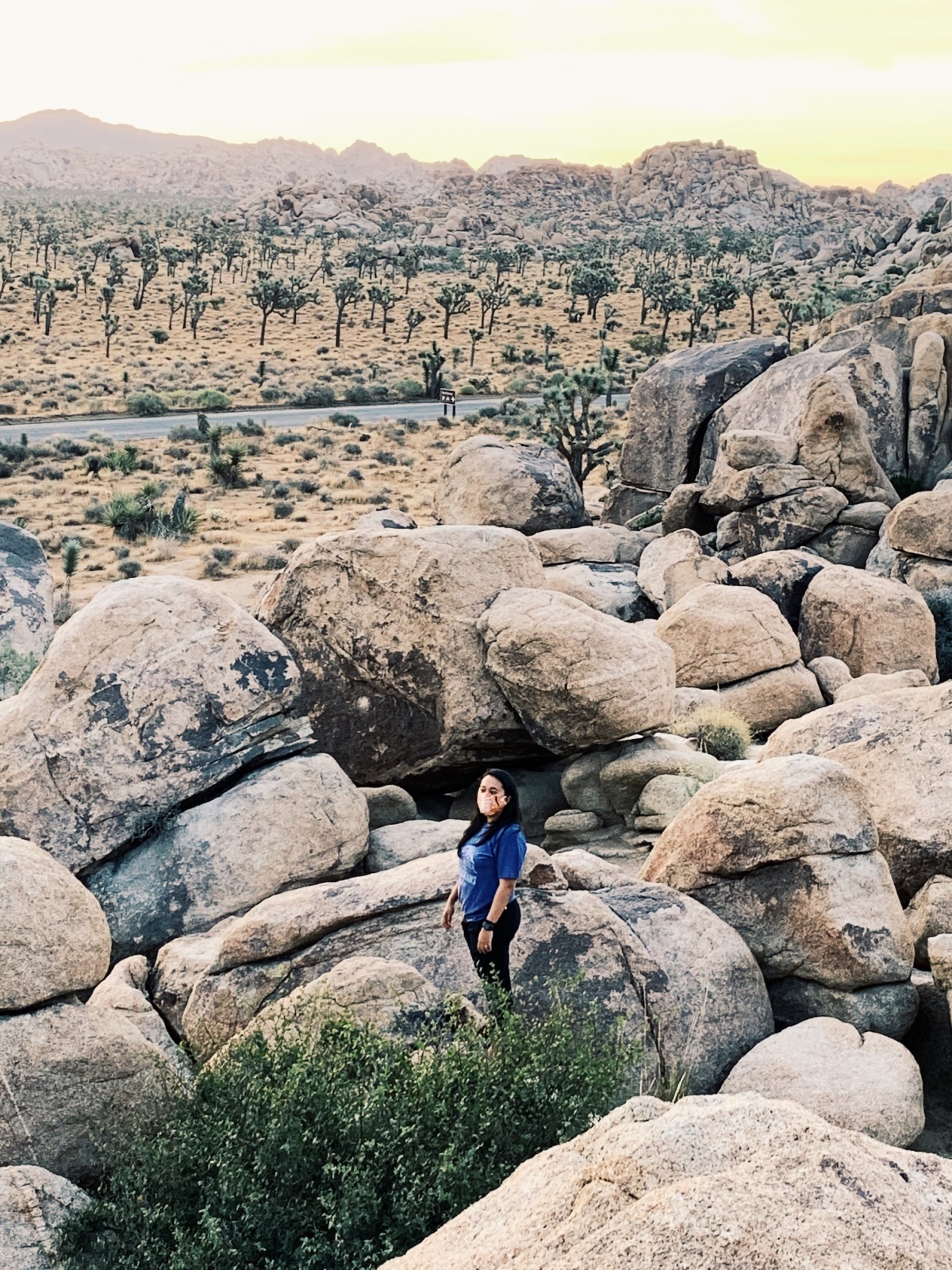 That Time We Visited Joshua Tree National Park During The Pandemic